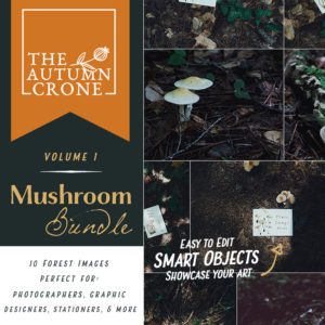 Mushroom Mockup Bundle - Vol. 1