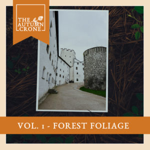 Foliage Mockup 2 - Vol. 1