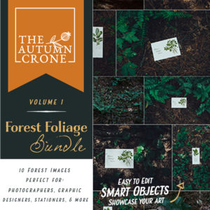 Foliage Mockup Bundle - Vol. 1